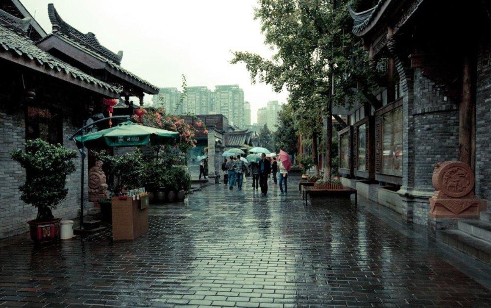 爱吃叶子的毛毛虫